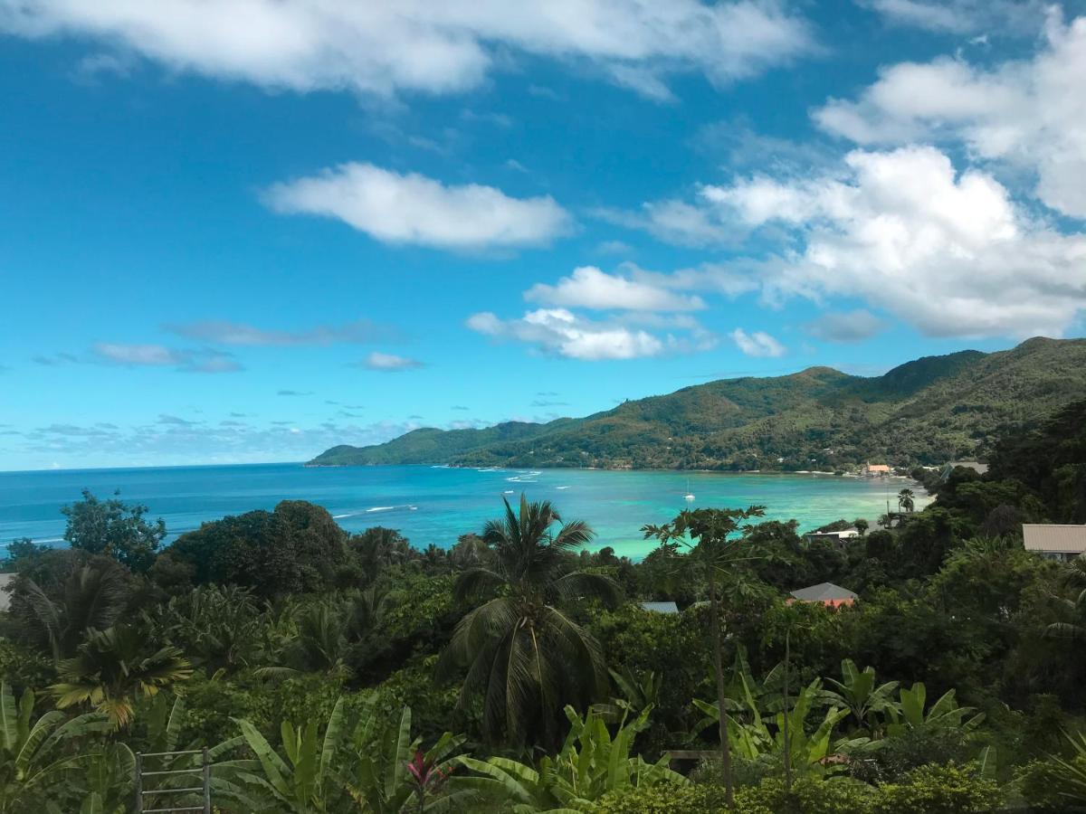 Seybreeze Villa Anse Royale Eksteriør billede